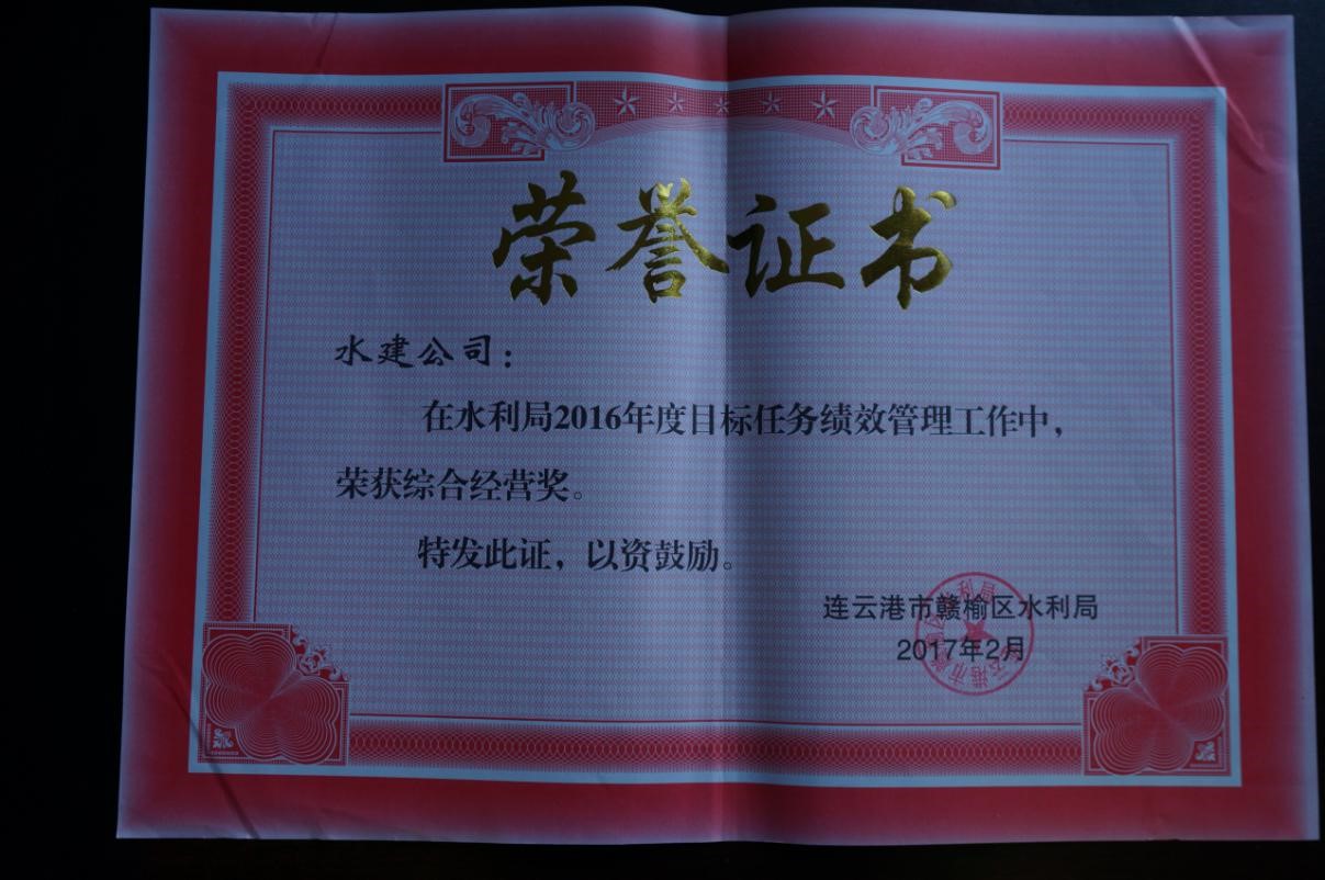 2016年综合经营奖