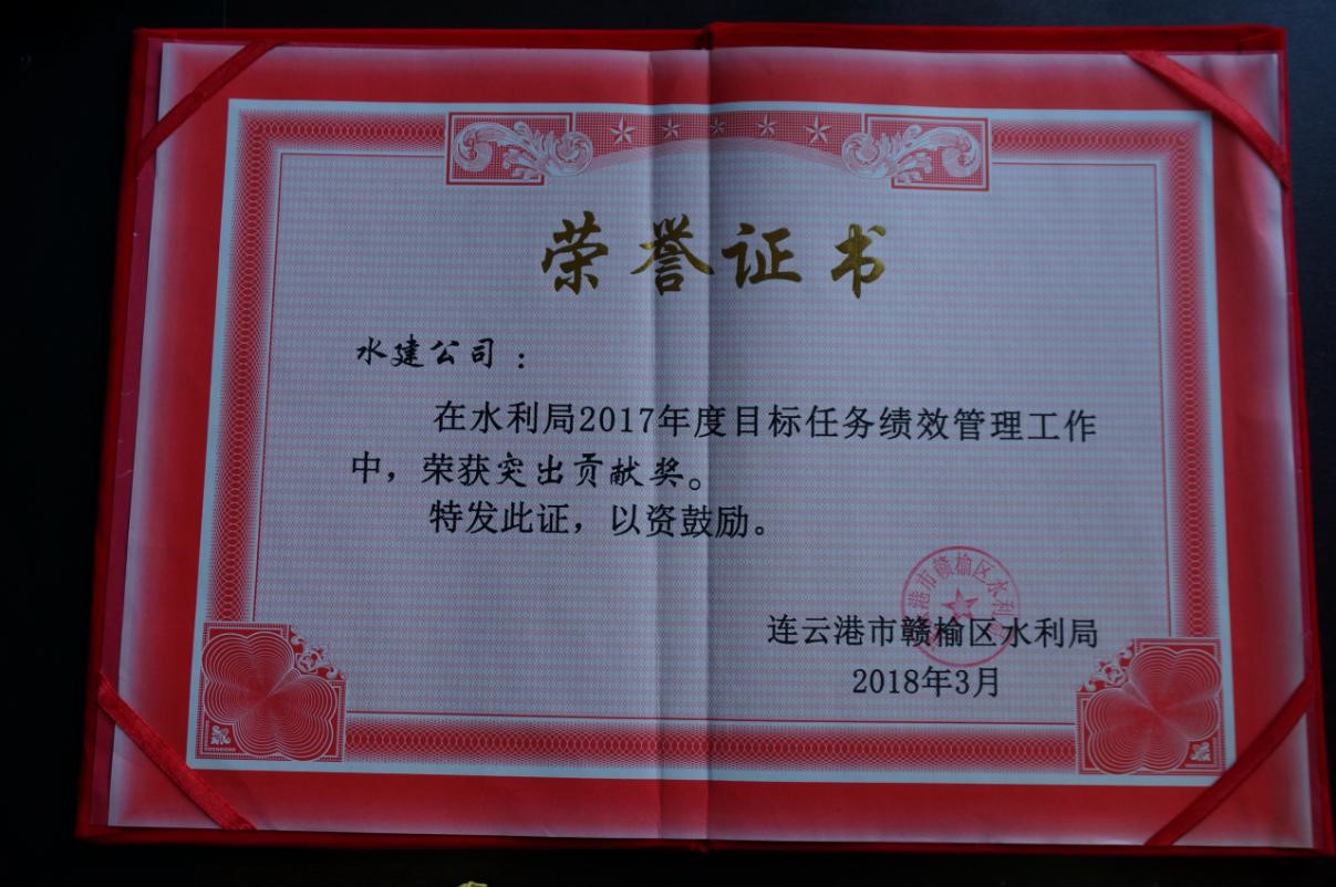 2017年目标任务突出贡献奖